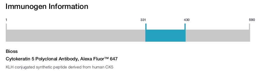 Cytokeratin 5 Polyclonal Antibody, Alexa Fluor&trade; 647