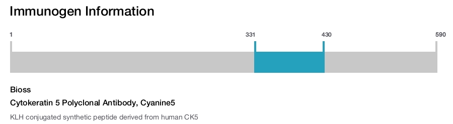 Cytokeratin 5 Polyclonal Antibody, Cyanine5