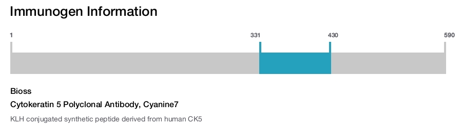 Cytokeratin 5 Polyclonal Antibody, Cyanine7