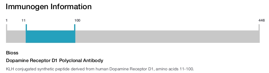Dopamine Receptor D1 Polyclonal Antibody