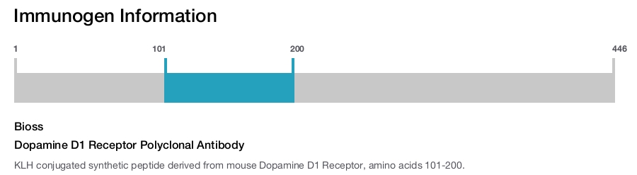 Dopamine D1 Receptor Polyclonal Antibody