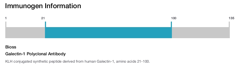 Galectin-1 Polyclonal Antibody