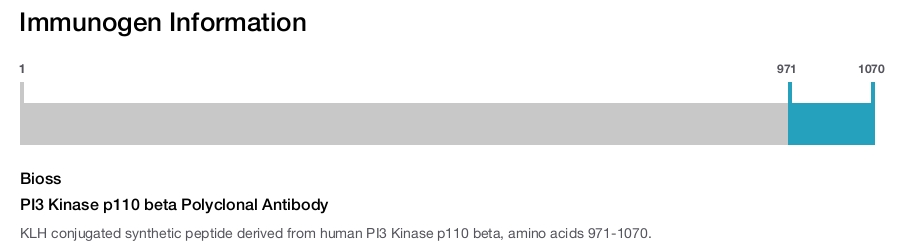 PI3 Kinase p110 beta Polyclonal Antibody