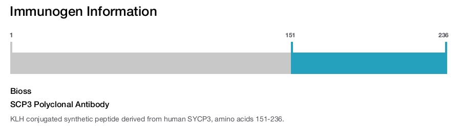 SCP3 Polyclonal Antibody