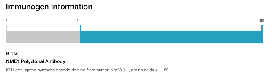 NME1 Polyclonal Antibody