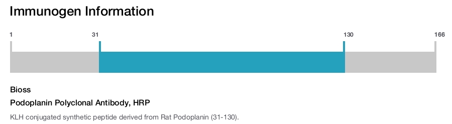 Podoplanin Polyclonal Antibody, HRP