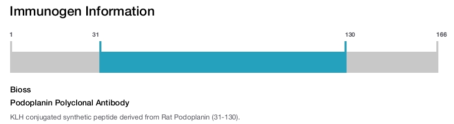 Podoplanin Polyclonal Antibody