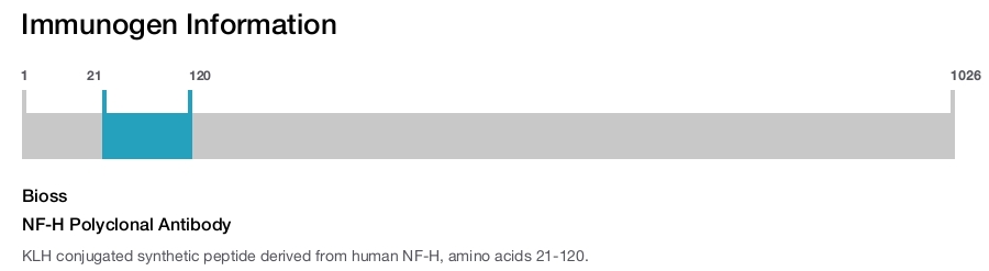 NF-H Polyclonal Antibody