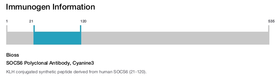 SOCS6 Polyclonal Antibody, Cyanine3