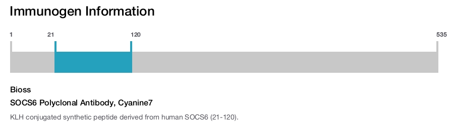 SOCS6 Polyclonal Antibody, Cyanine7