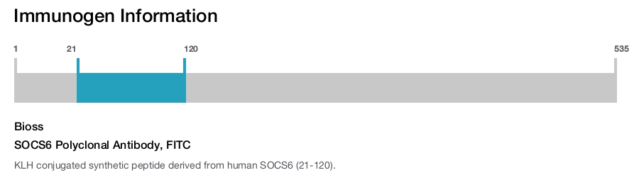 SOCS6 Polyclonal Antibody, FITC