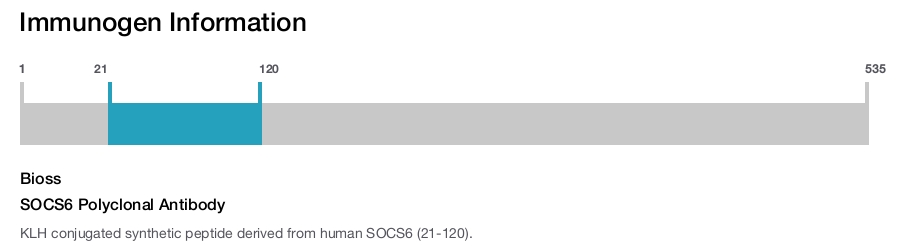 SOCS6 Polyclonal Antibody