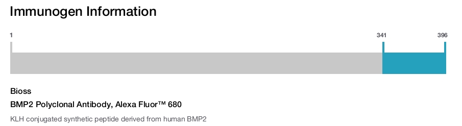 BMP2 Polyclonal Antibody, Alexa Fluor&trade; 680