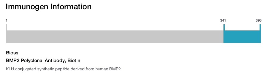 BMP2 Polyclonal Antibody, Biotin
