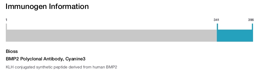 BMP2 Polyclonal Antibody, Cyanine3