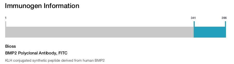 BMP2 Polyclonal Antibody, FITC
