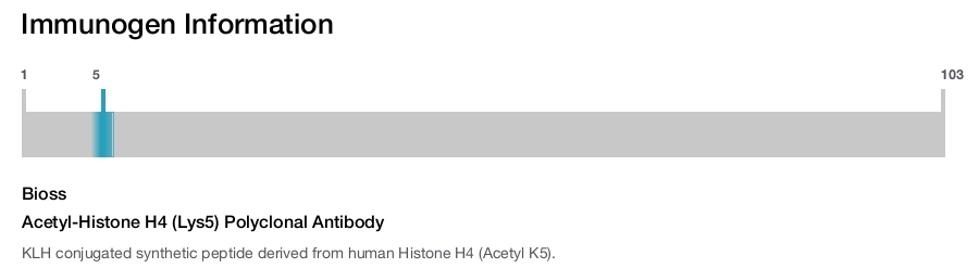 Acetyl-Histone H4 (Lys5) Polyclonal Antibody