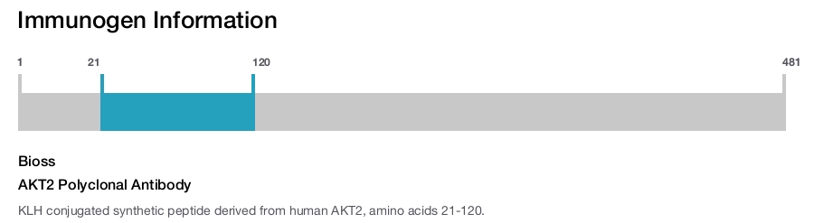AKT2 Polyclonal Antibody