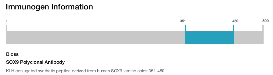 SOX9 Polyclonal Antibody