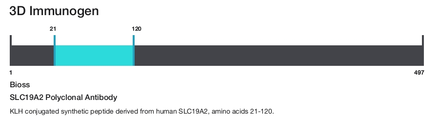 SLC19A2 Polyclonal Antibody