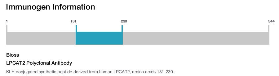 LPCAT2 Polyclonal Antibody