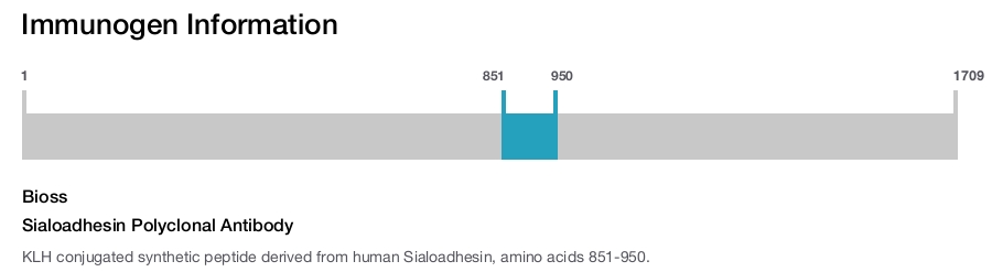 Sialoadhesin Polyclonal Antibody