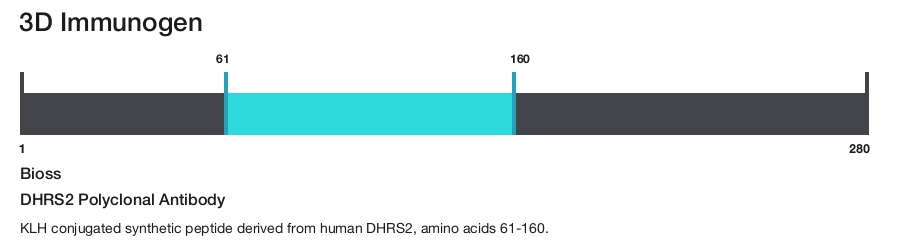 DHRS2 Polyclonal Antibody
