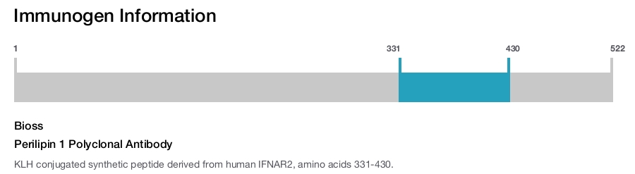 Perilipin 1 Polyclonal Antibody
