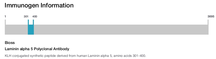 Laminin alpha 5 Polyclonal Antibody