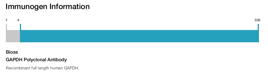 GAPDH Polyclonal Antibody