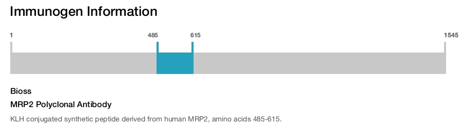 MRP2 Polyclonal Antibody