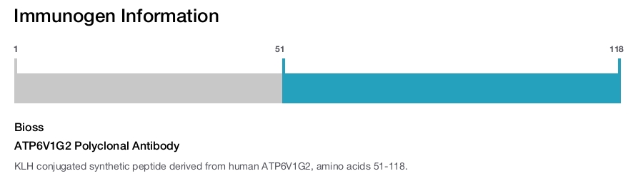 ATP6V1G2 Polyclonal Antibody