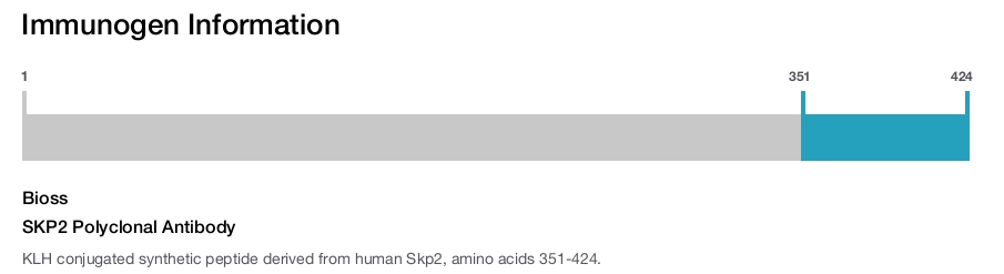 SKP2 Polyclonal Antibody