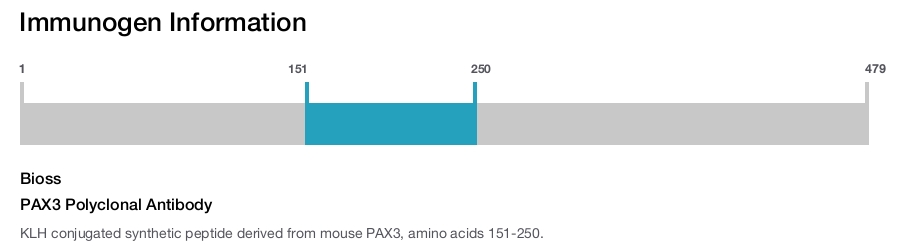 PAX3 Polyclonal Antibody