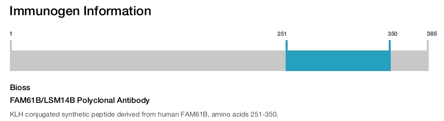 FAM61B/LSM14B Polyclonal Antibody