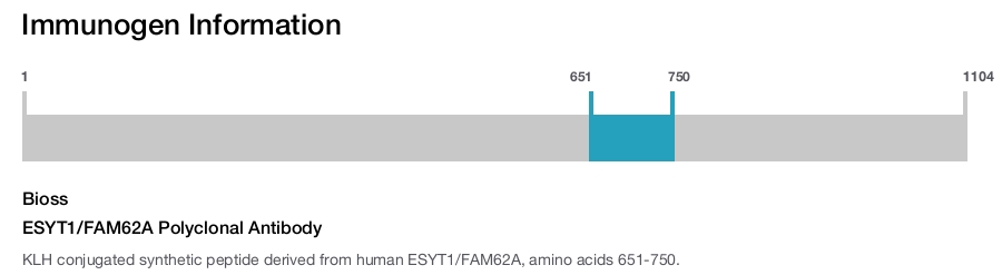 ESYT1/FAM62A Polyclonal Antibody