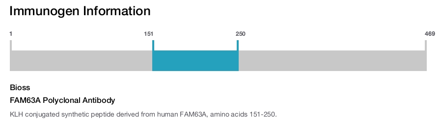 FAM63A Polyclonal Antibody