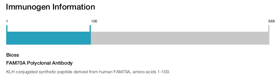 FAM70A Polyclonal Antibody