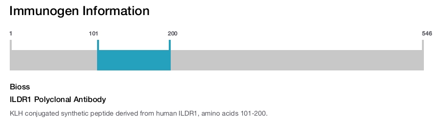ILDR1 Polyclonal Antibody