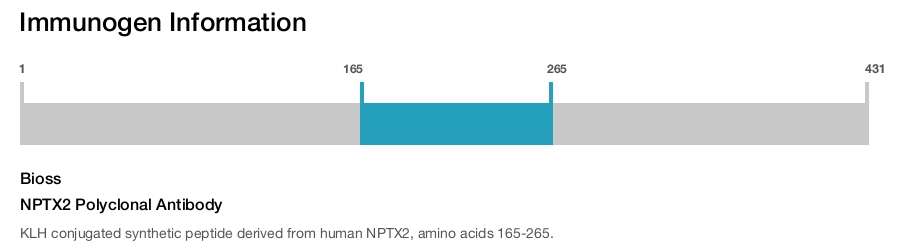 NPTX2 Polyclonal Antibody