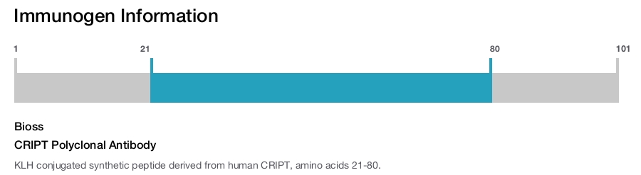 CRIPT Polyclonal Antibody