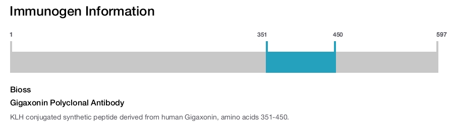 Gigaxonin Polyclonal Antibody