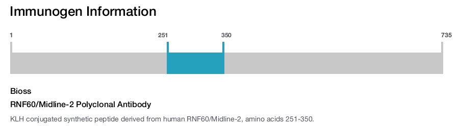 RNF60/Midline-2 Polyclonal Antibody