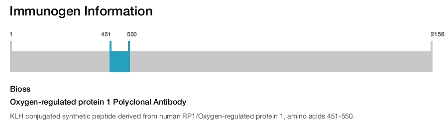 Oxygen-regulated protein 1 Polyclonal Antibody