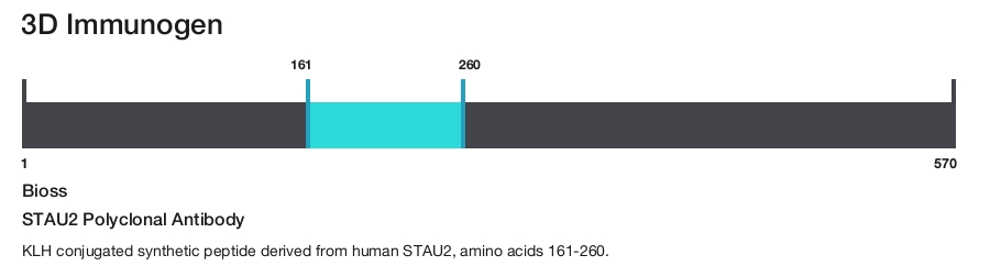 STAU2 Polyclonal Antibody