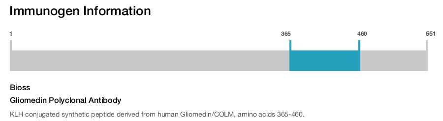Gliomedin Polyclonal Antibody