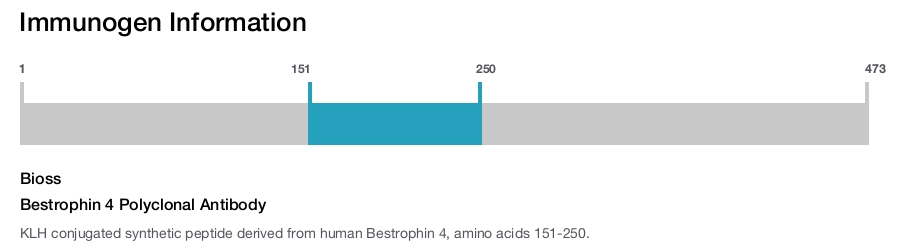 Bestrophin 4 Polyclonal Antibody