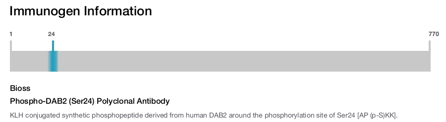 Phospho-DAB2 (Ser24) Polyclonal Antibody