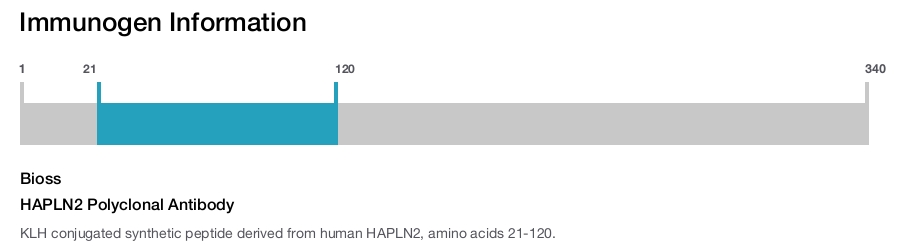 HAPLN2 Polyclonal Antibody