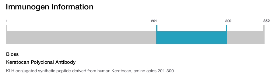 Keratocan Polyclonal Antibody